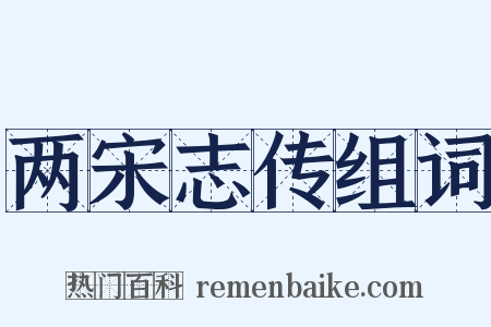两宋志传组词是什么意思的图片